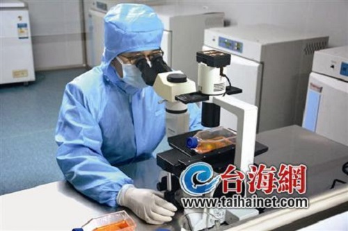 海峡导报：厦高新企业打造新生儿“生命银行”